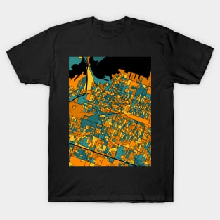 Hamilton Map Pattern in Orange & Teal T-Shirt